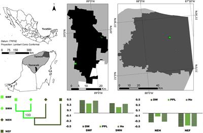 Growing Out of the Tropical Forests: Gene Flow of Native Mesoamerican Trees Among Forest and Mayan Homegardens